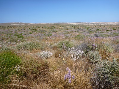 Dirk Hartog Island landscape