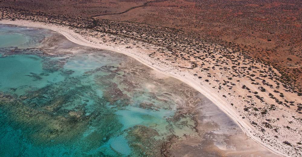 Hamelin Pool coastline