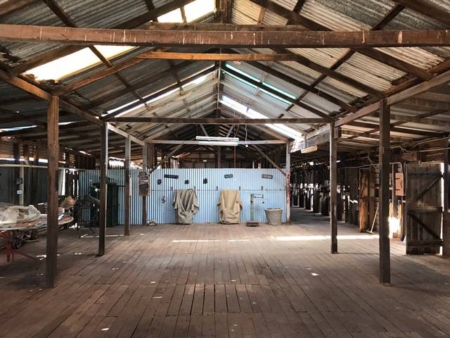 Hamelin Station shearing shed